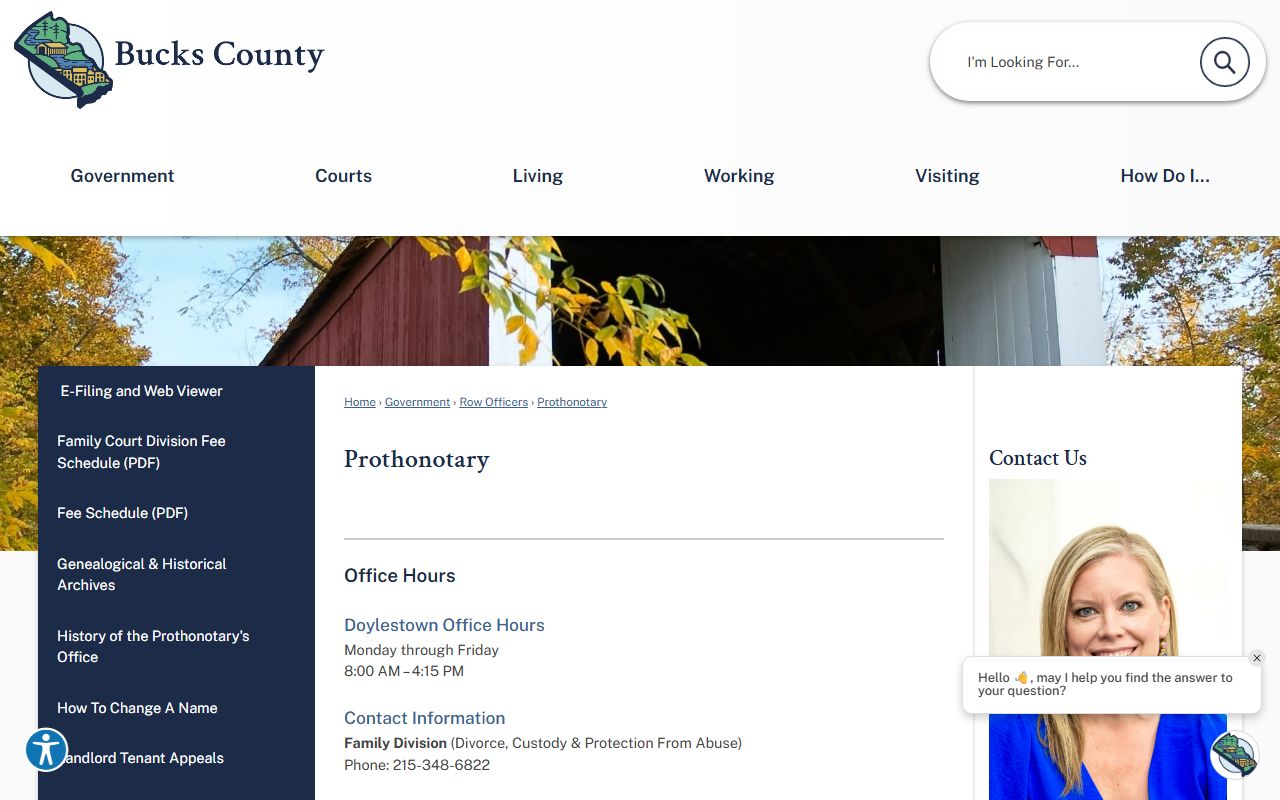 Bucks County Prothonotary civil and family records page